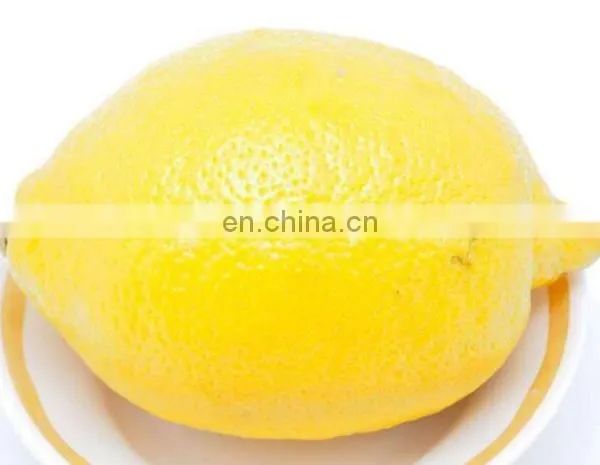 Commercial Automatic Mango Peeling Machine photo-3