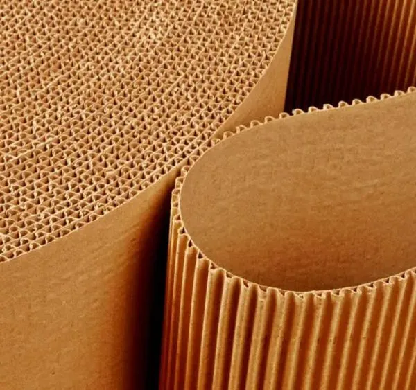 Corrugated Paper & Board