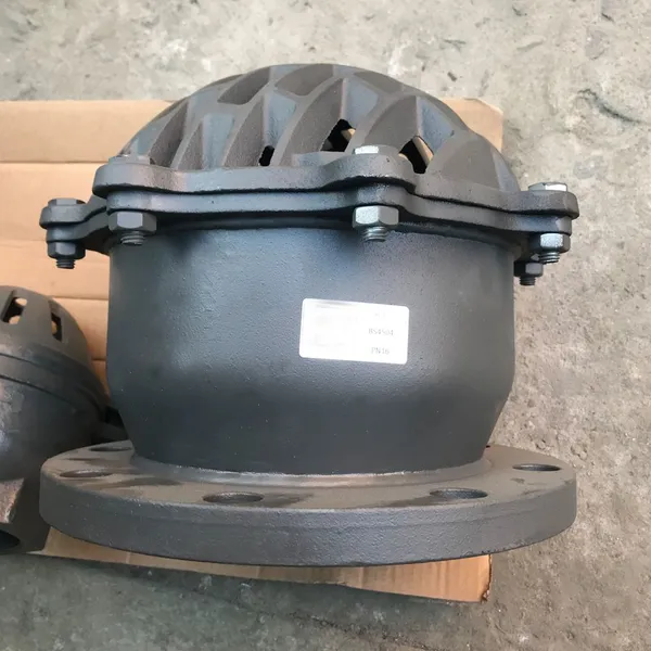 BS Compliant Swing Foot Valve High Flow Rate Design photo-5