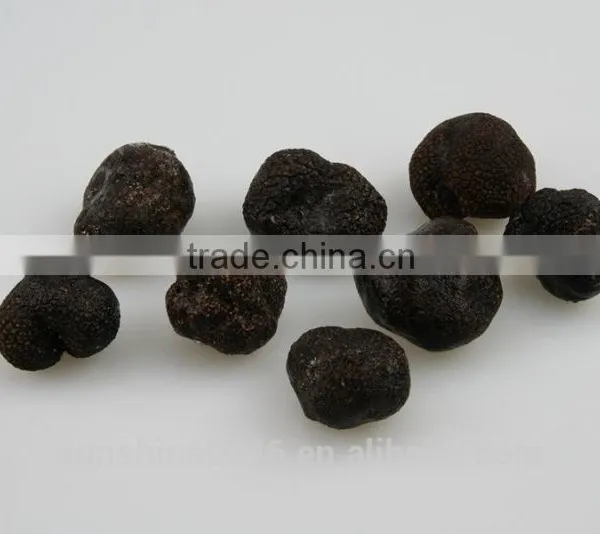 Black Truffle From Sunshine photo-3