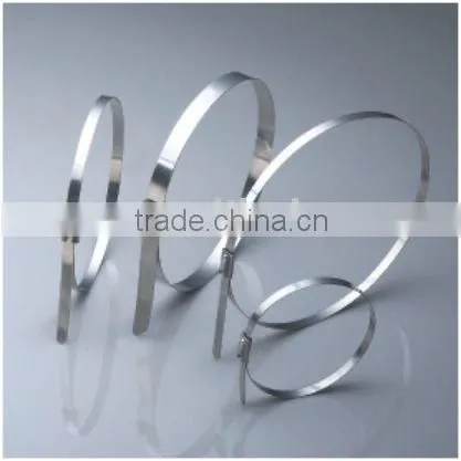 Cable Ties