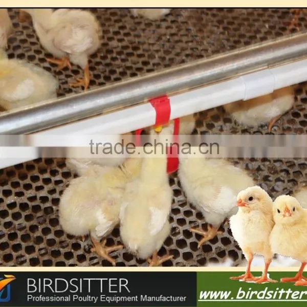 Birdsitter Poultry Farm Equipment Drinking Water Fountains photo-5