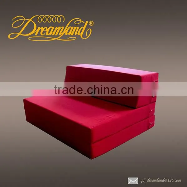 Foam Sofa/foam Sofa Bed/foam Folding Sofa Bed