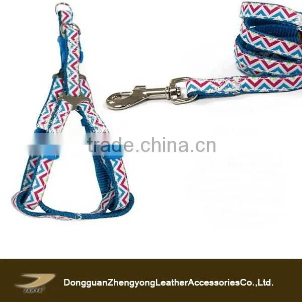 New Fashion Dog Leashes, Nylon Dog Collars and Leashes