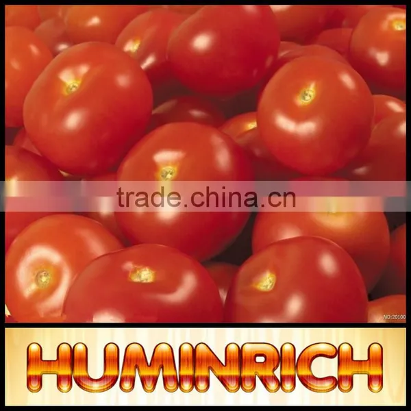 Huminrich High Active Potassium Humic Acid Looking For Agent In Egypt