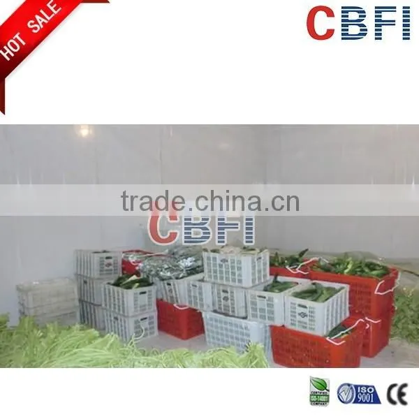 CBFI Cold Room for Fruits and Vegetables photo-5