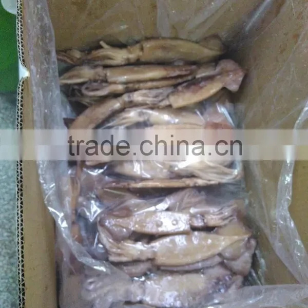 Illex Squid W/R photo-2