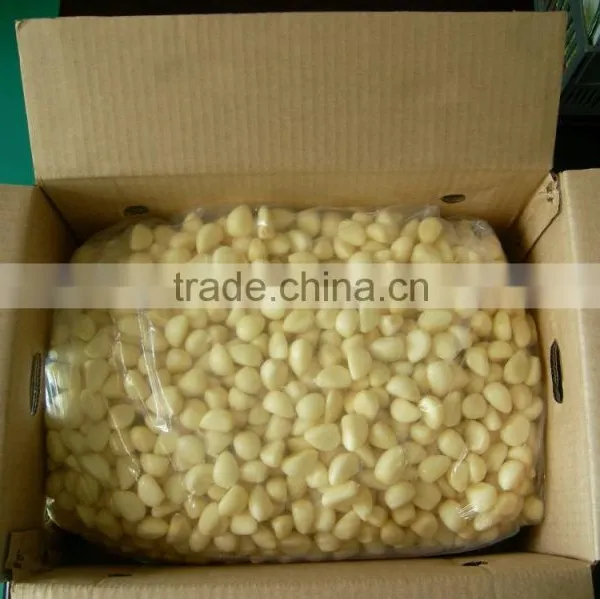 2015 Shandong IQF Frozen Peeled Garlic Cloves photo-2