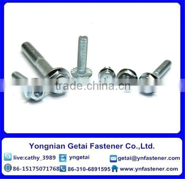 Astm Hex Flange Bolt,hex Flange Bolts in Professional photo-5