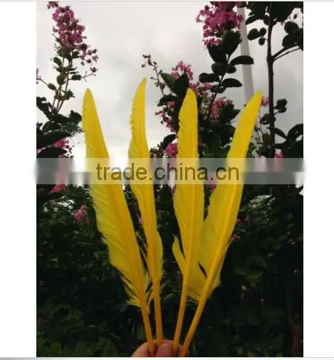 Natural Humpback Feathers 30-40cm 12-16inches photo-4