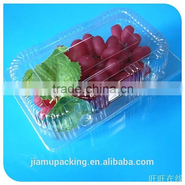 2015 Wholesale Factory Palstic Tray for Food photo-3