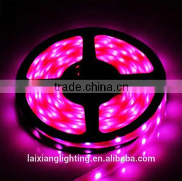 Waterproof Strip 60leds/m 5050 SMD High Quality Led Strip Light for House Decoration photo-5