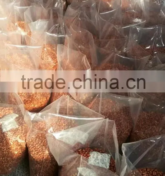 Roasted Peanuts With Skin, Roasted Peanut Kernels, Plain Roasted Peanut Kernels. photo-3