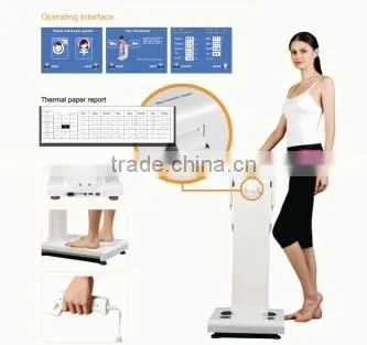 Body Compositon Analyzer Results BCA-2A Body Analyzer Machine Price photo-5