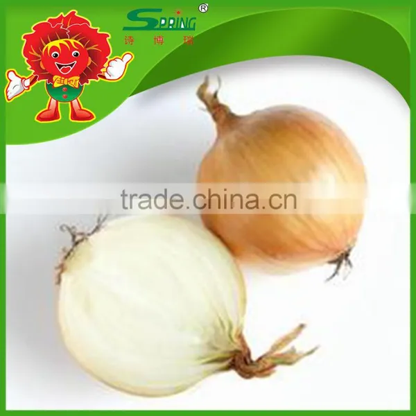 2015 Crop Fresh Red Onion in Mesh Bag Onions in Bulk photo-4