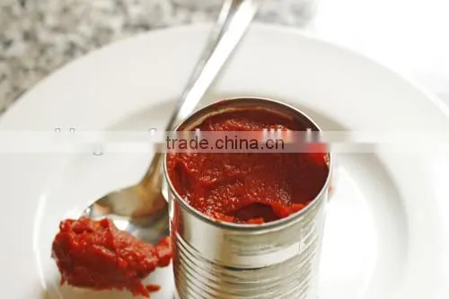 Bulk Cold Break and Hot Break Tomato Paste for Dubai by Paste Distributors With Private Label photo-5