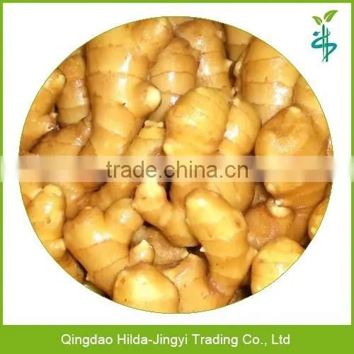 Chinese ginger, mature ginger root