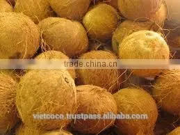 Old Coconut
