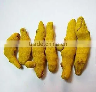 Turmeric Finger