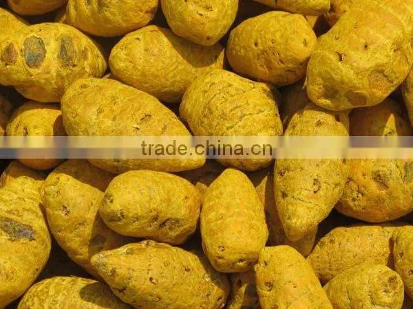 Exporters of Dried Turmeric/Turmeric Curcumin photo-3
