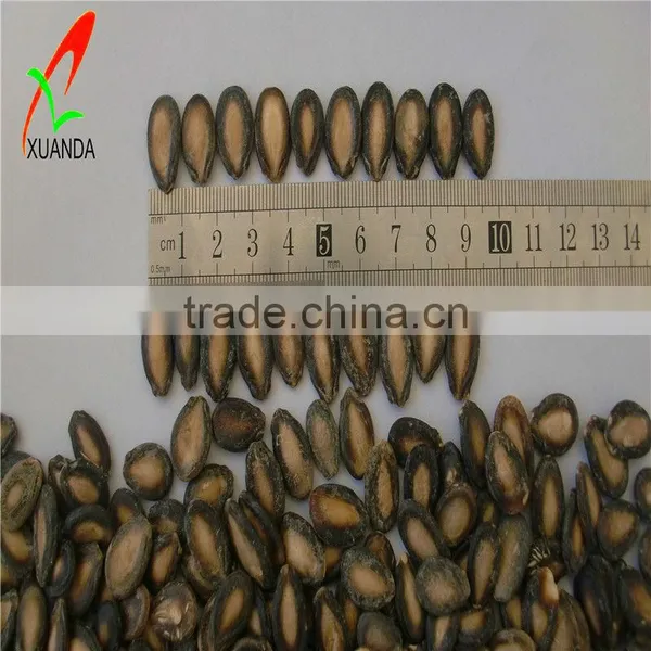 Black Watermelon Seeds photo-2