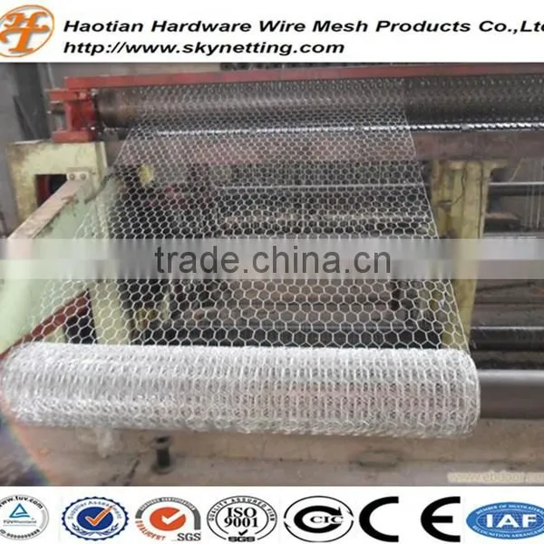 High Quality Galvanized Chicken Wire Netting Hexagonal Wire Netting Poultry Mesh photo-5