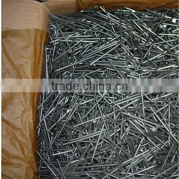 Polish Common Nail From Professional Factory photo-5