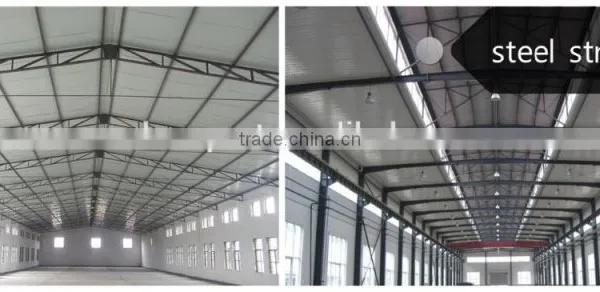 WZH Low Price Competitive Steel Dome Structure photo-4