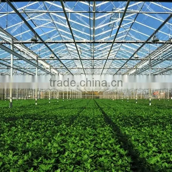 Light Frame Steel Structure Building for Greenhouse, Poultry Farm With Really Low Cost photo-6