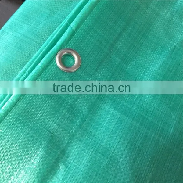 Waterproof and Tear Resistant PE Garden Leaf Loader Tarp photo-2