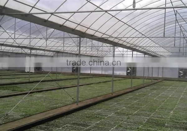 Baolida Cheap Vegetables Tunnel Greenhouse photo-2
