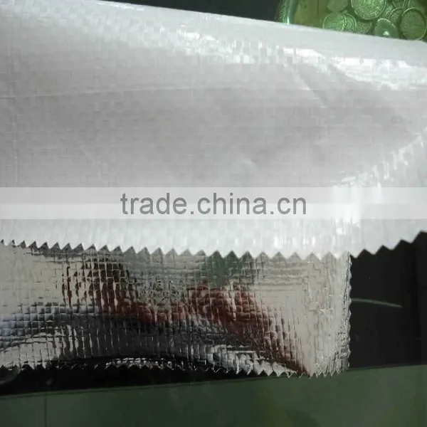 Thermalinsulation Aluminizer Nonwoven photo-5