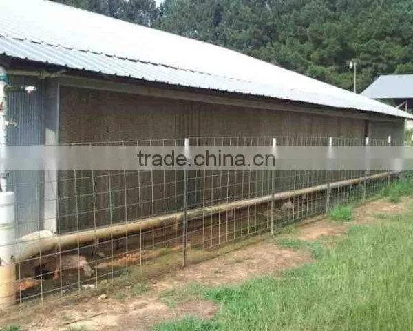 Design Modern Automatic Poultry China Equipment Chicken Farm photo-2