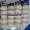 Super White Garlic in 10kg/ Carton photo-3