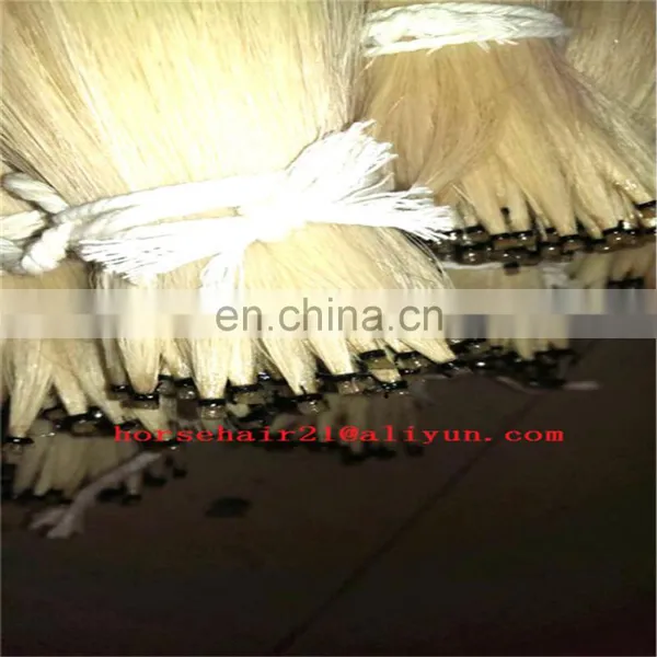 Wholesale and Retail Natural Horsehair /horsetail /horsehair Tail in 6" - 40" photo-5