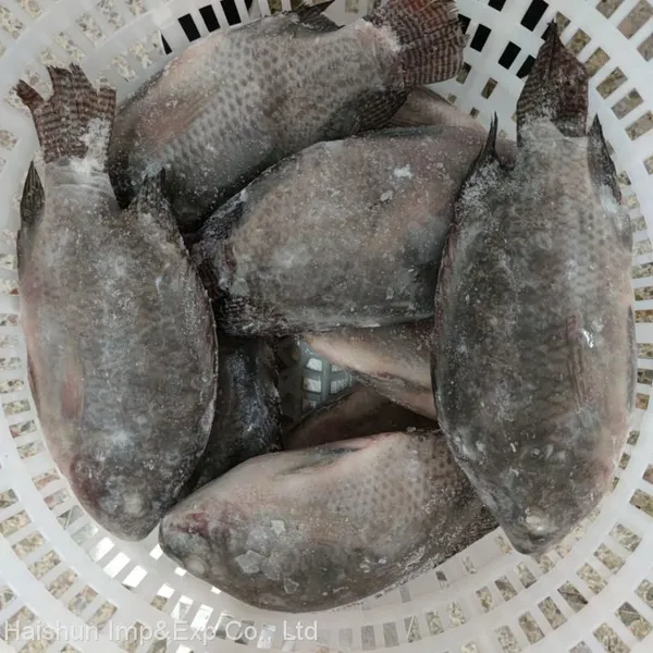 Frozen Tilapia Whole Round Fish photo-2