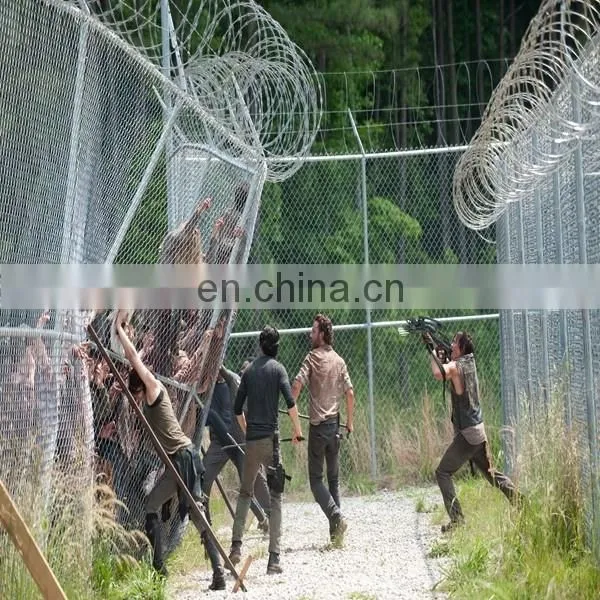 Cross Razor Type and Iron Wire Material Anti-rust Razor Blade Barbed Wire for Sale Low Price photo-3