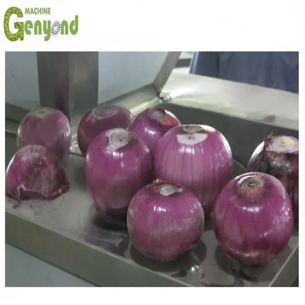 High Efficiency Onion Machine With Motor Core Components for Root Vegetable Processing photo-3