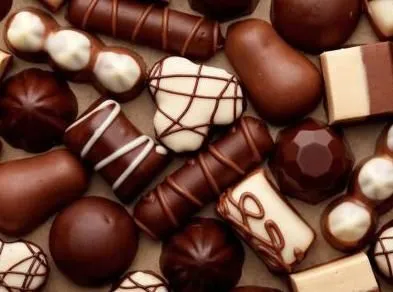 Automatic Mini Chocolate Making Machine/ Small Capacity Conche Machinery photo-5