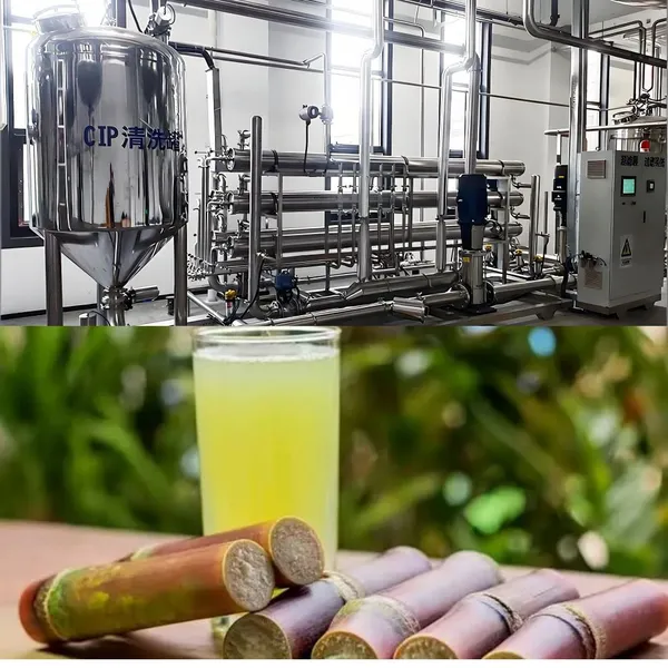 Membrane Filtration Equipment With 1 Year Warranty, Free Technical Training, 0.2μm Microfiltration, 304 Stainless Steel photo-2