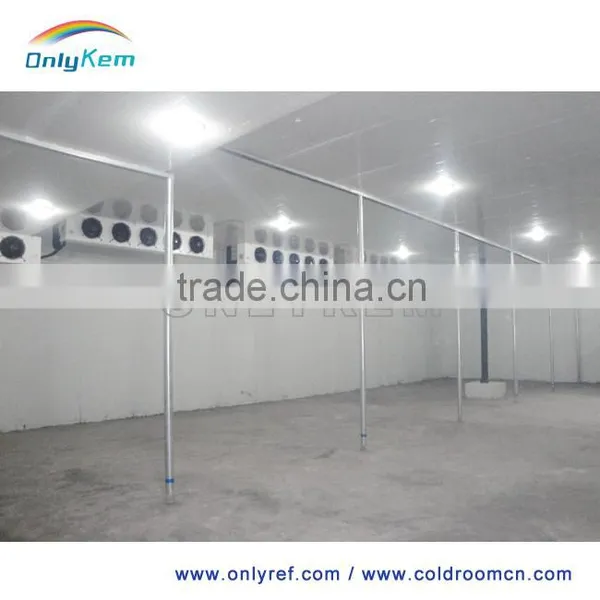Cold Storage Deep Freezer for Seafood, Green House Mobile Freezer Prices photo-2
