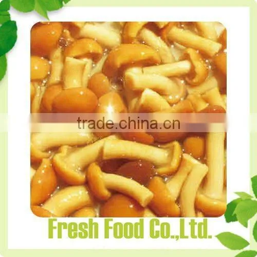 Canned Nameko Mushroom