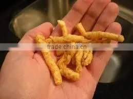 Cheetos/kurkure/nik Naks/corn Curls Food Extrusion Machine photo-3