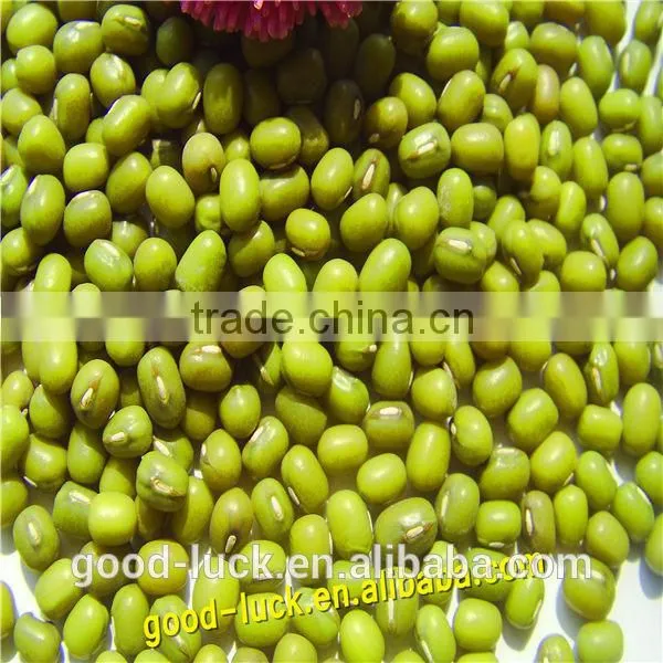 Mung Beans for Food Grade photo-3