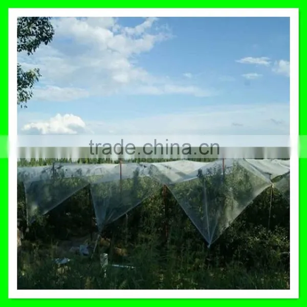 Supply High Quality Various Grape Hail Protection Net/resist Hail Mesh/woven Anti Hail Net photo-3