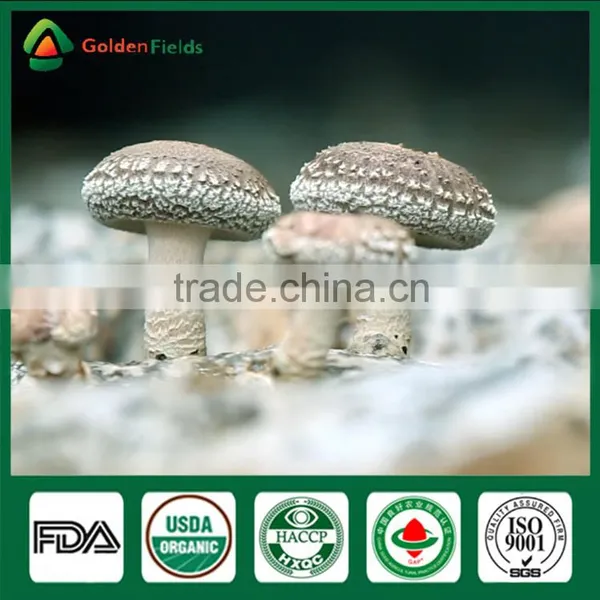 Shiitake Mushroom Fresh Health Food Shiitake Mushroom Whleseller photo-3