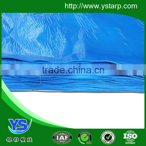 pe Coated Fabric Roll photo-2