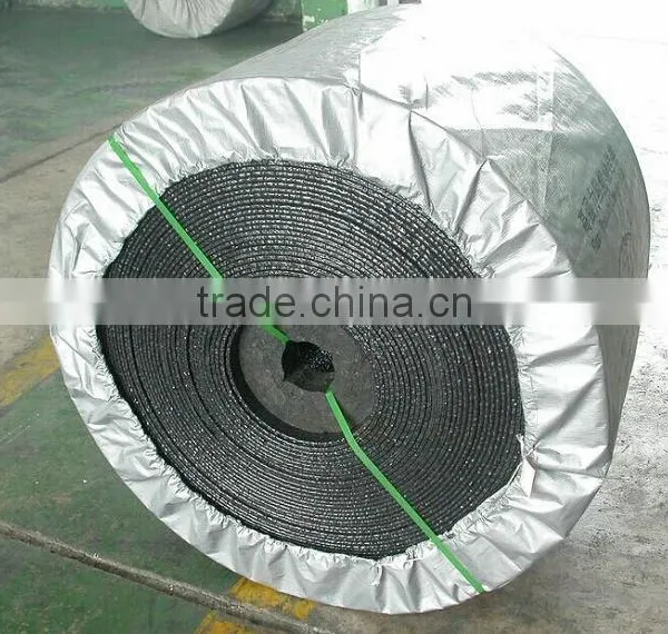 Popular Promotional Industrial Conveyor Belt Price Products Made in Asia photo-5