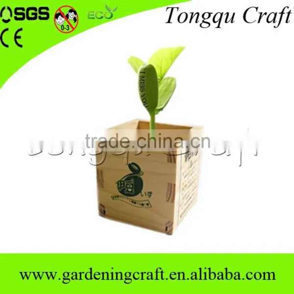 2015 new products magic growing message beans, message bean with wooden box