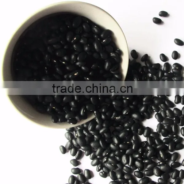 Dired China Bean for Sale in for Black Bean for Sale photo-2